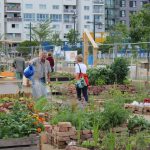 Community Garden in front of the GB* at the Max-Winter-Platz in 2nd distirct © B2/20