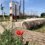 Besucher:innenflächen im Lobauvorland (c) Susi Leputsch