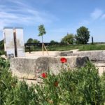 Besucher:innenflächen im Lobauvorland (c) Susi Leputsch